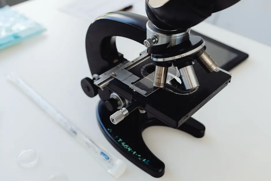 Detail Microscope Close Up Number 13