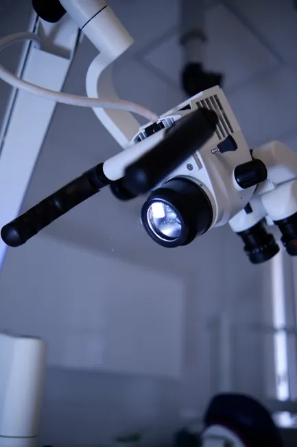 Detail Microscope Close Up Number 18