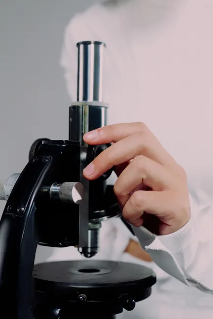 Detail Microscope Close Up Number 19