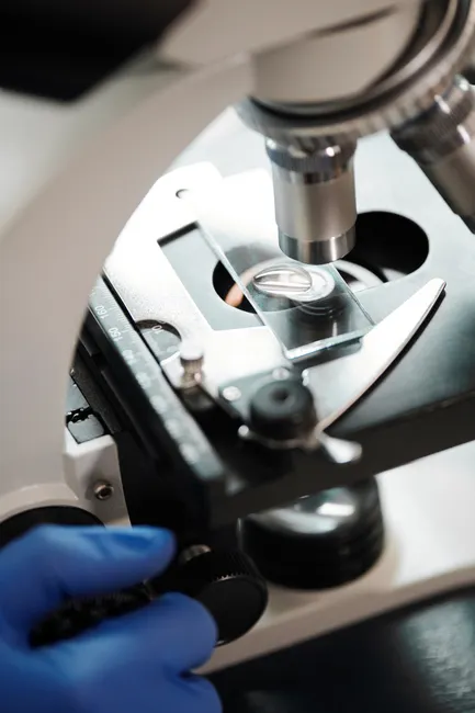 Detail Microscope Close Up Number 6