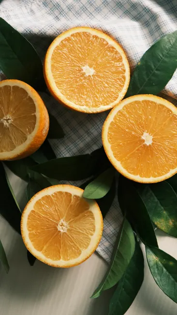 Detail Orange Slice Close Up Photography Number 13