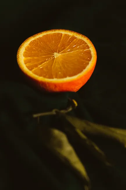 Detail Orange Slice Close Up Photography Number 14