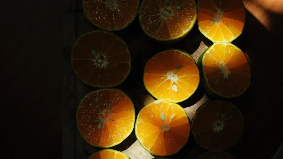 Detail Orange Slice Close Up Photography Number 15