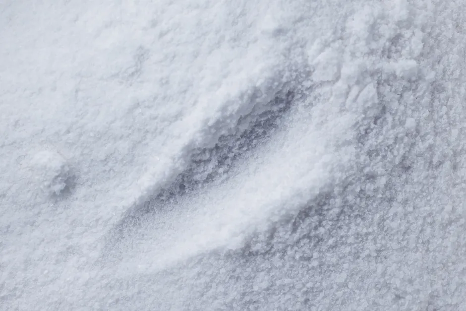 Detail Salt Crystals Macro Photography Number 20