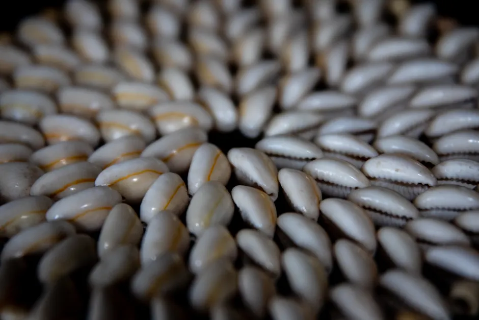 Detail Shell Texture Close Up Number 10