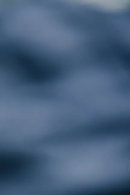 Detail Soft Focus Background Number 13