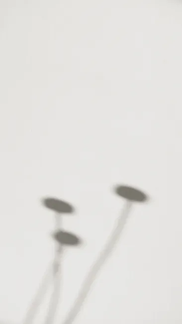 Detail Soft Focus Background Number 19