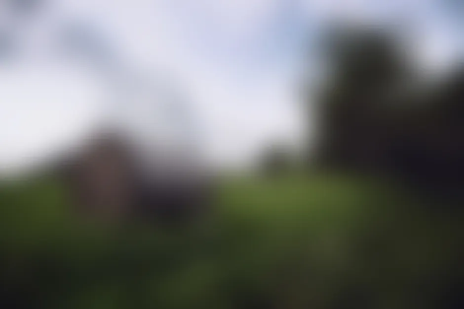 Detail Soft Focus Background Number 3