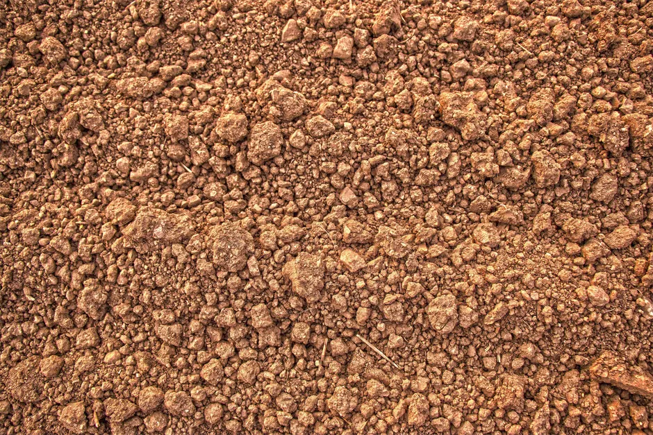 Detail Soil Texture Close Up Number 2