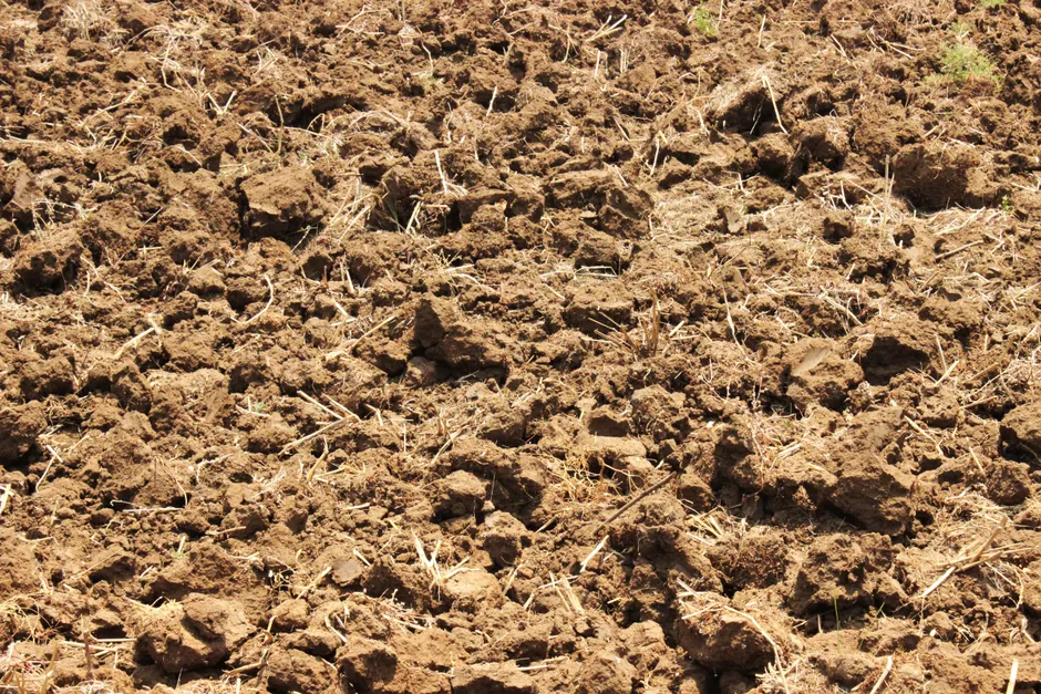 Detail Soil Texture Close Up Number 11