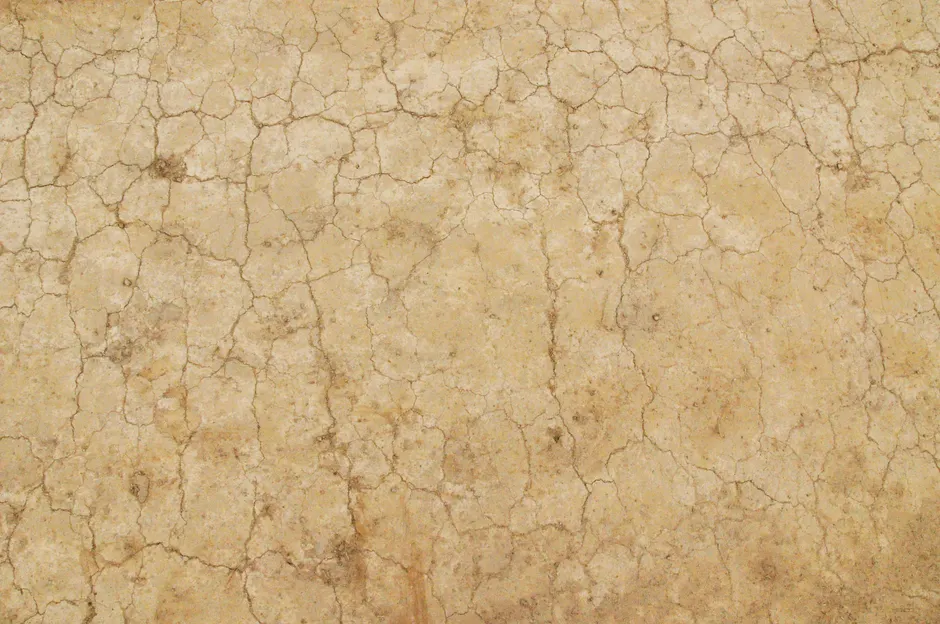 Detail Soil Texture Close Up Number 12