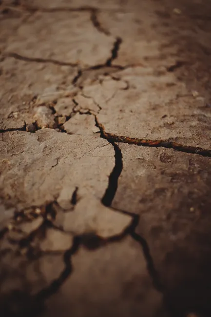 Detail Soil Texture Close Up Number 13