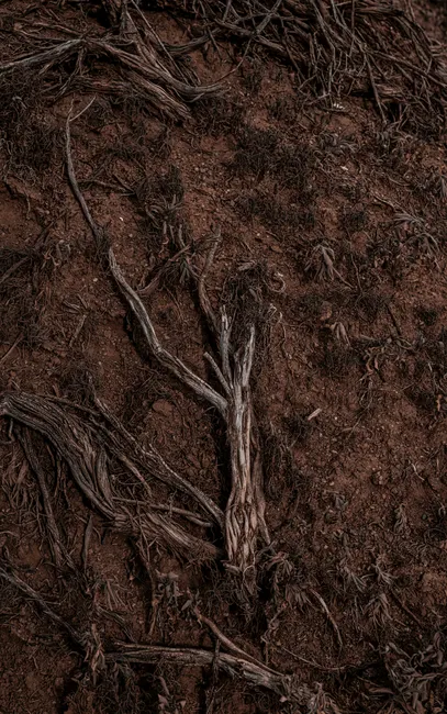 Detail Soil Texture Close Up Number 15