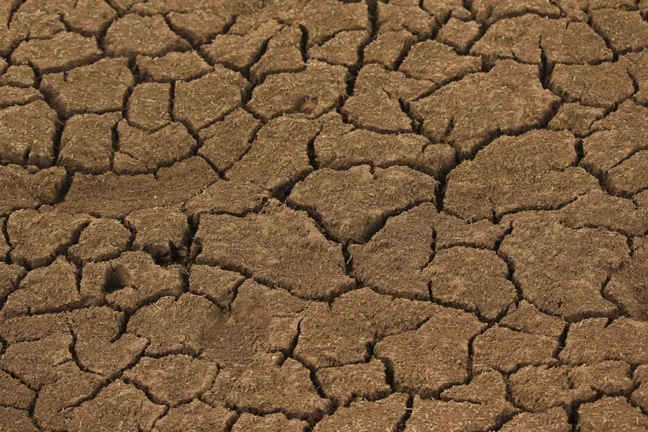 Detail Soil Texture Close Up Number 17