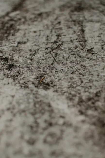 Detail Soil Texture Close Up Number 18