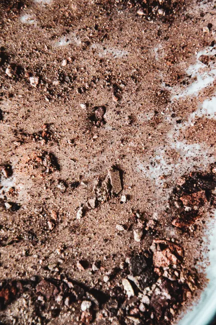 Detail Soil Texture Close Up Number 20