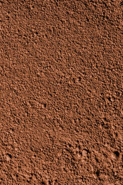 Detail Soil Texture Close Up Number 3