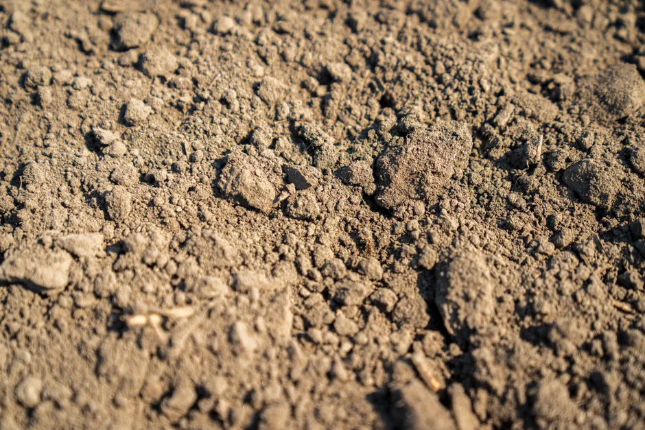 Detail Soil Texture Close Up Number 4