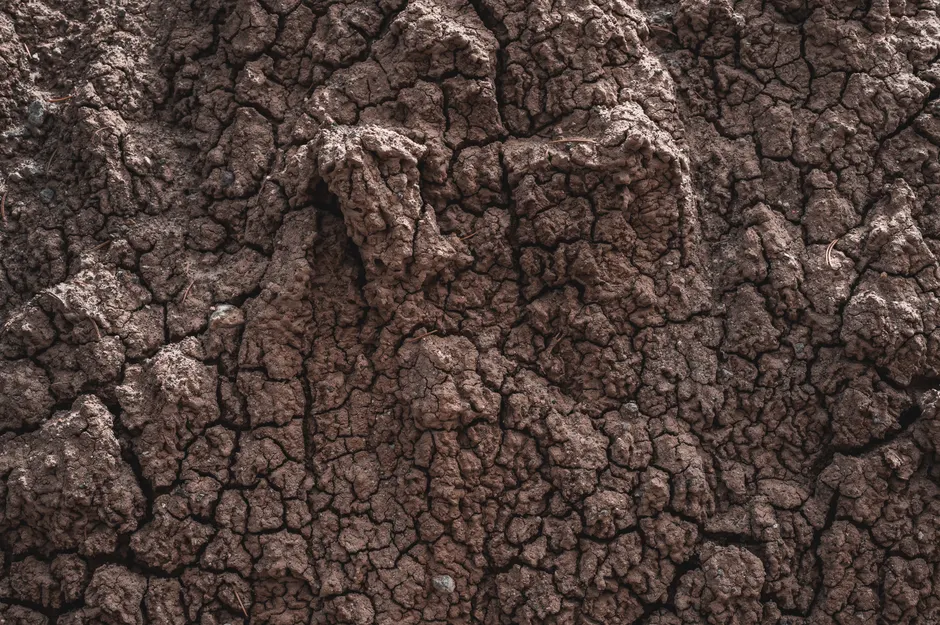 Detail Soil Texture Close Up Number 5