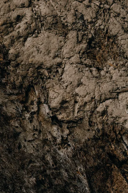 Detail Soil Texture Close Up Number 6