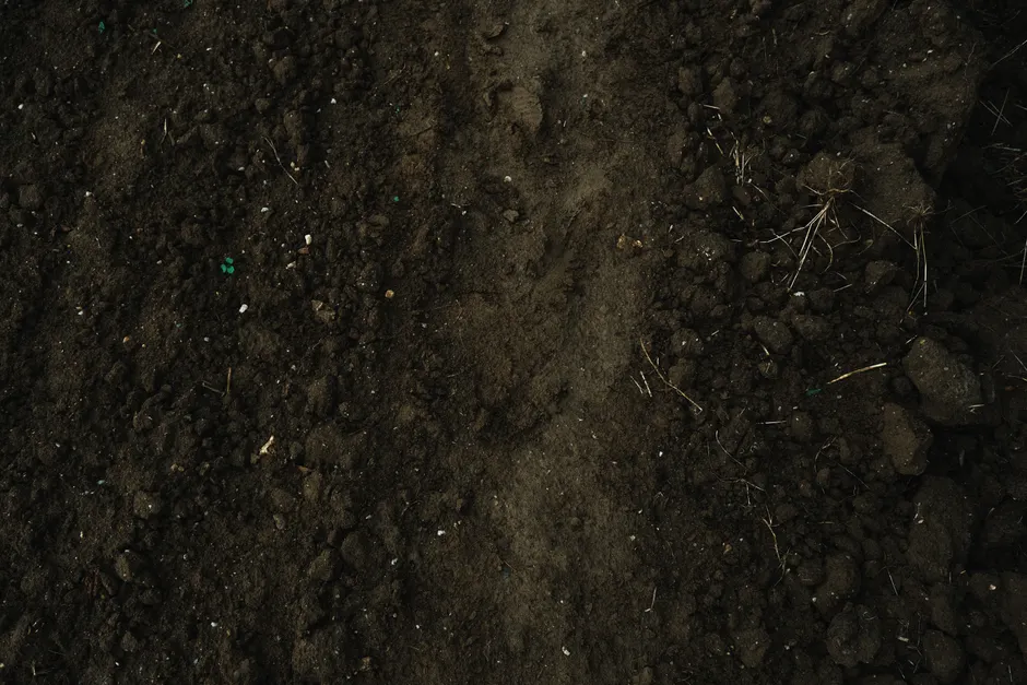 Detail Soil Texture Close Up Number 7