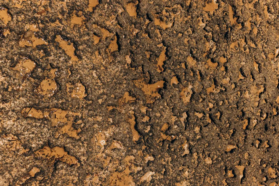 Detail Soil Texture Close Up Number 8