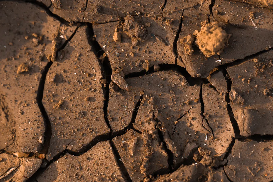 Detail Soil Texture Close Up Number 10