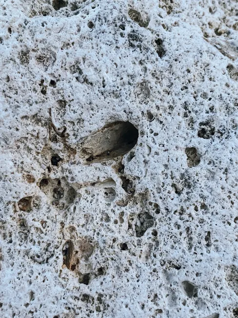 Detail Stone Texture Close Up Number 20