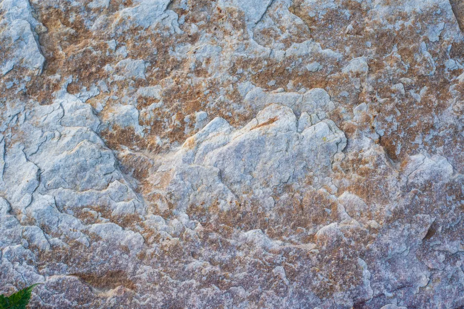 Detail Stone Texture Close Up Number 3