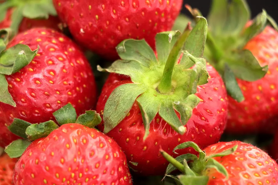 Detail Strawberry Close Up Macro Photo Number 13