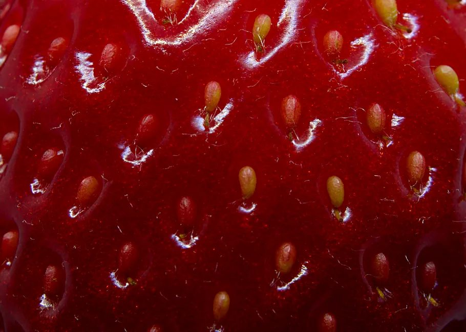Detail Strawberry Close Up Macro Photo Number 20
