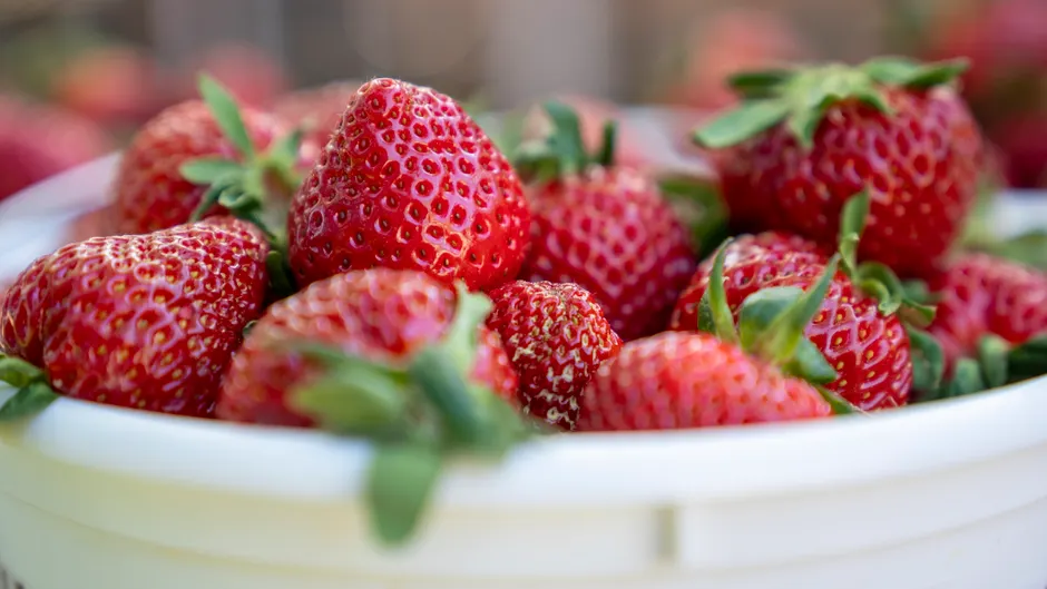 Detail Strawberry Close Up Macro Photo Number 5