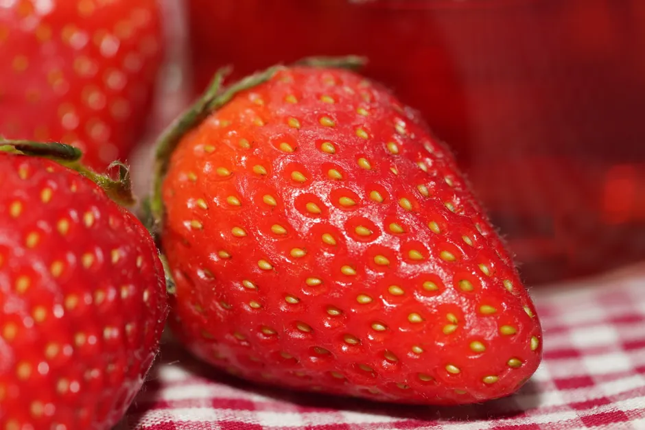 Detail Strawberry Close Up Macro Photo Number 6