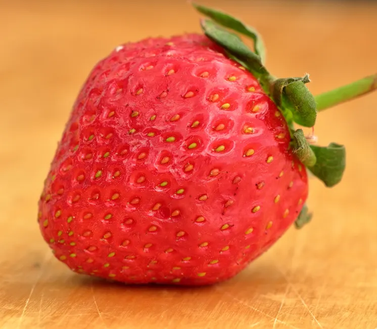 Detail Strawberry Close Up Macro Photo Number 8