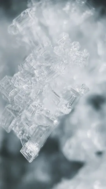 Detail Sugar Crystals Macro Number 20