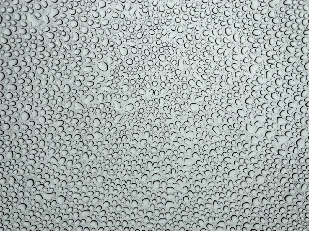 Detail Wet Glass Macro Number 16