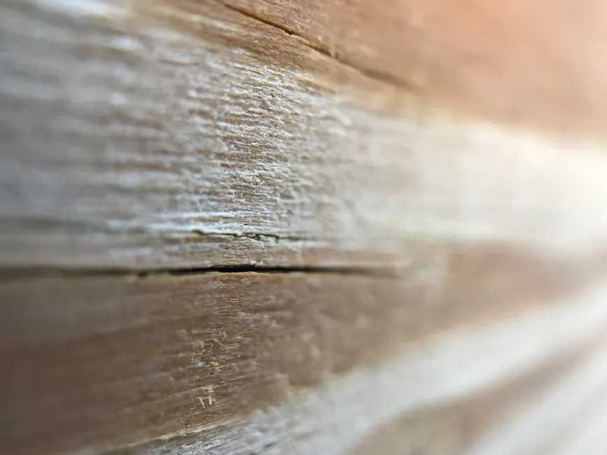 Detail Wood Grain Macro Photography Number 2