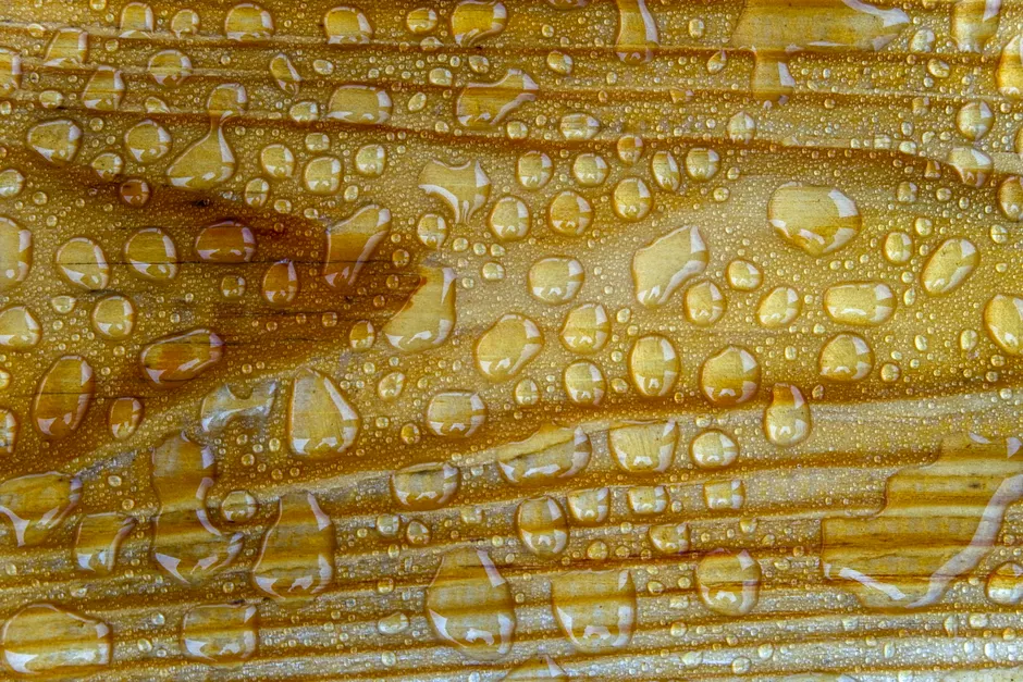 Detail Wood Grain Macro Photography Number 15