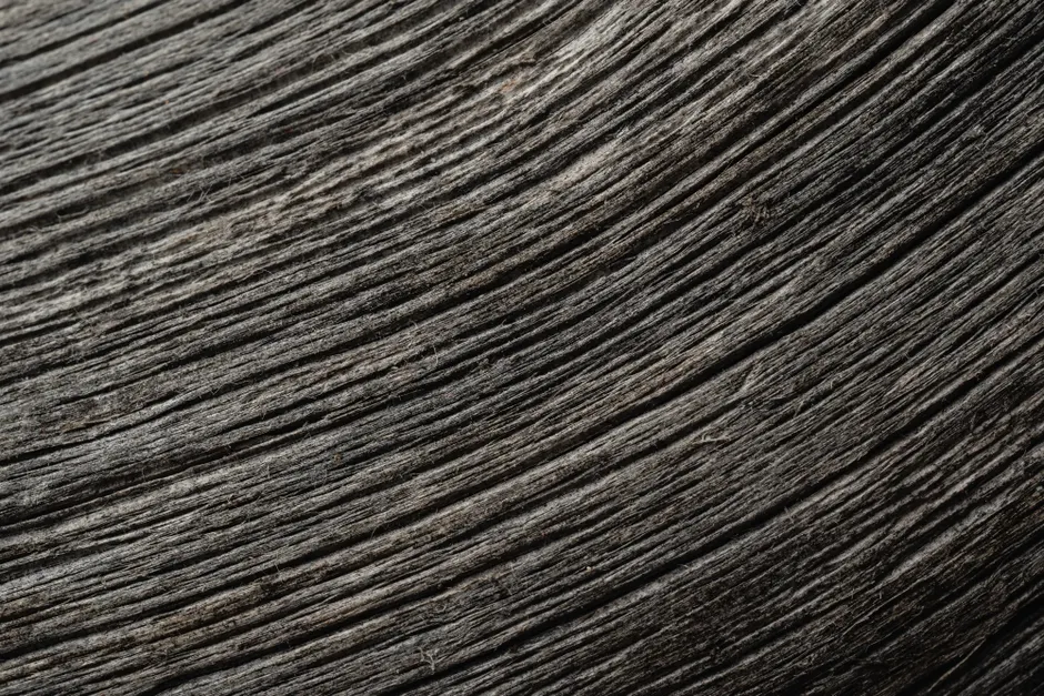 Detail Wood Grain Macro Photography Number 4