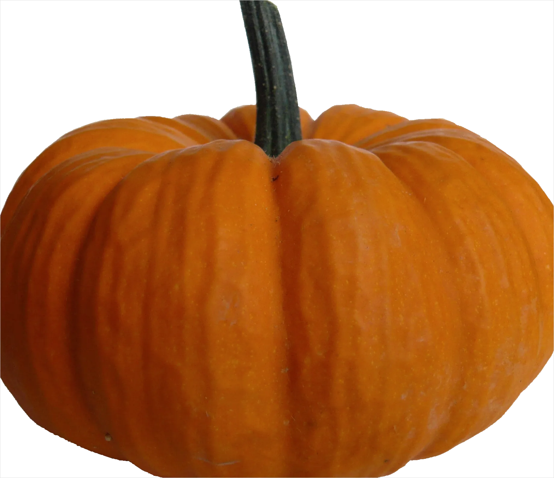 Detail Autumn Pumpkin Transparent Png Number 11