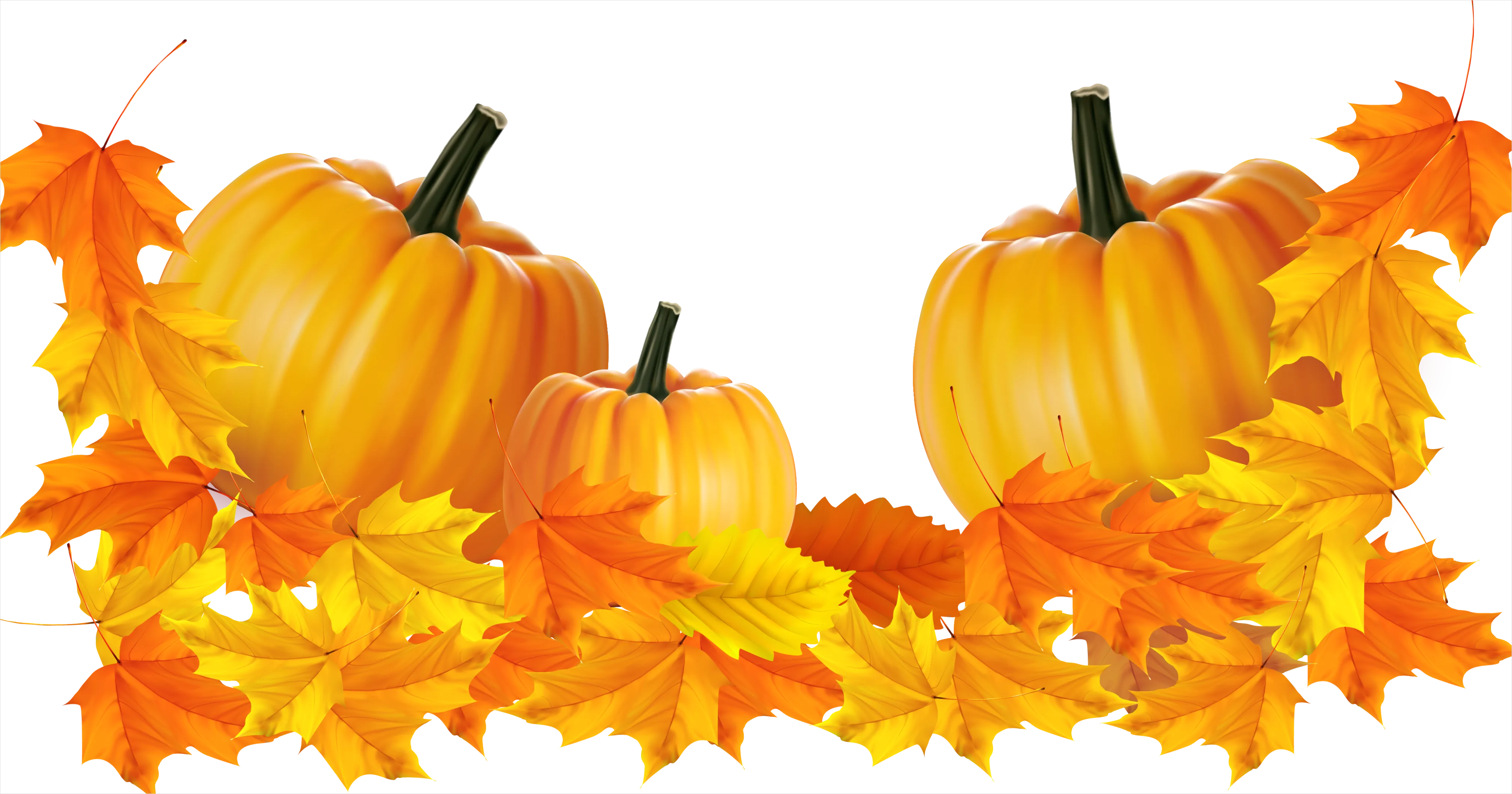 Detail Autumn Pumpkin Transparent Png Number 3