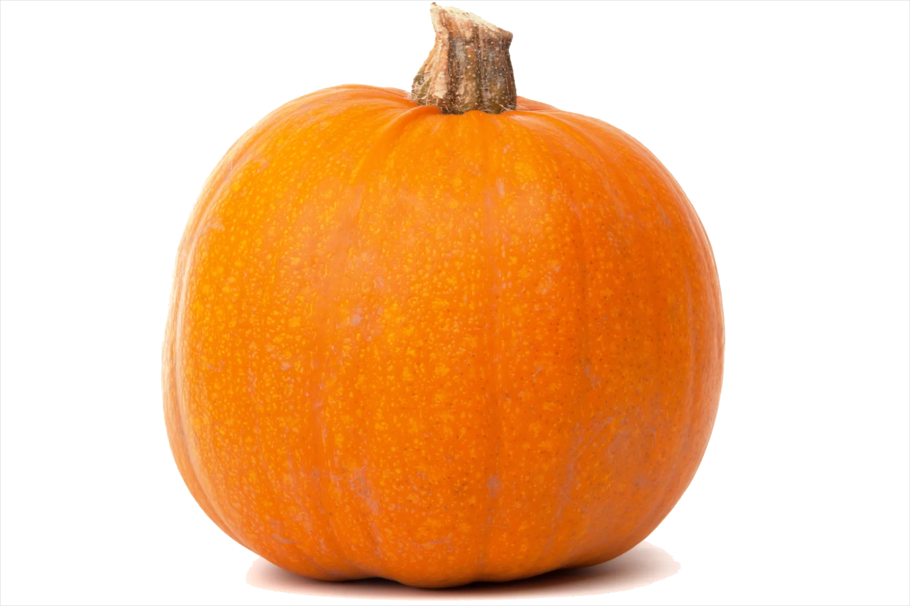 Detail Autumn Pumpkin Transparent Png Number 6