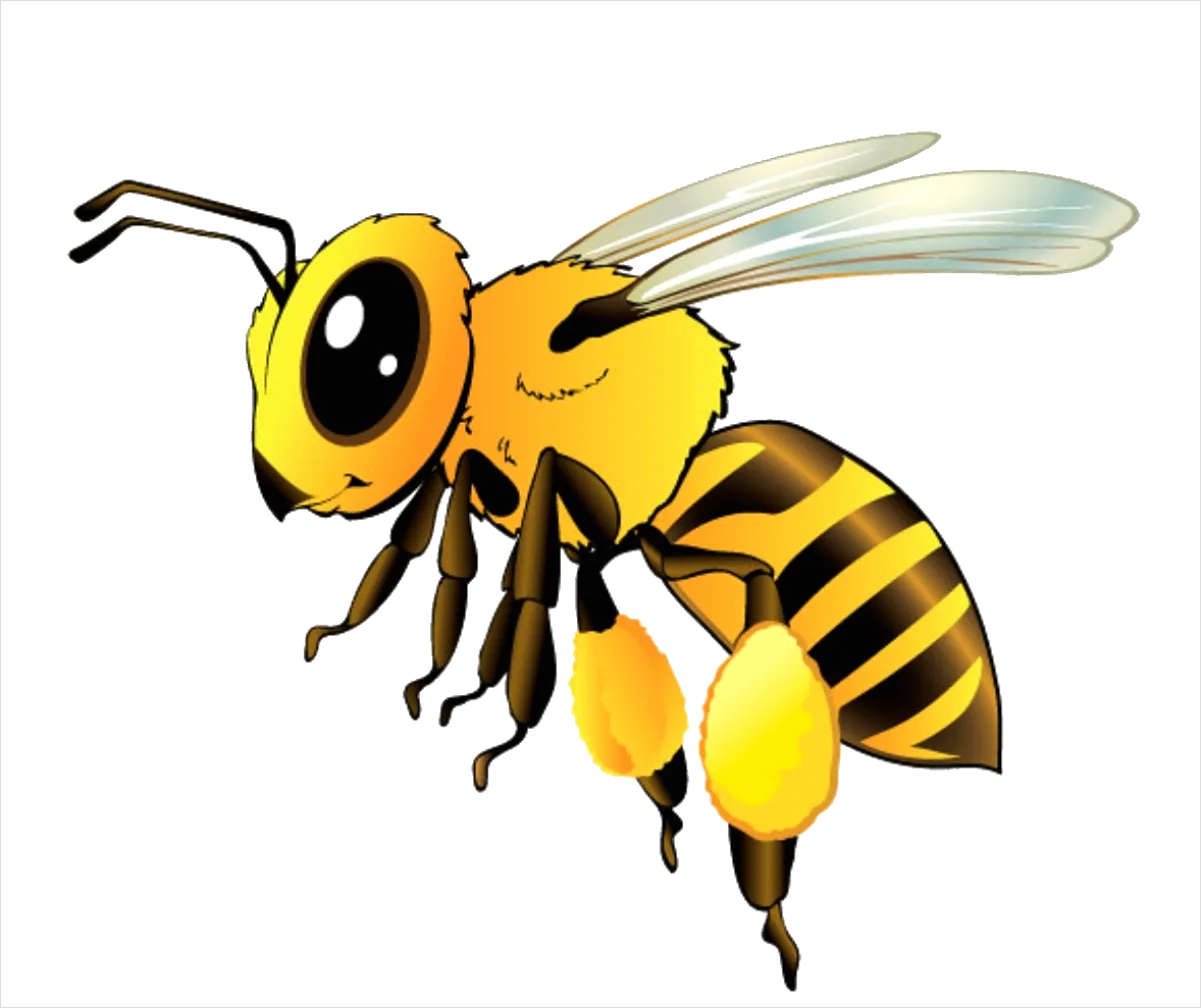 Detail Bee Transparent Png Clipart Number 5