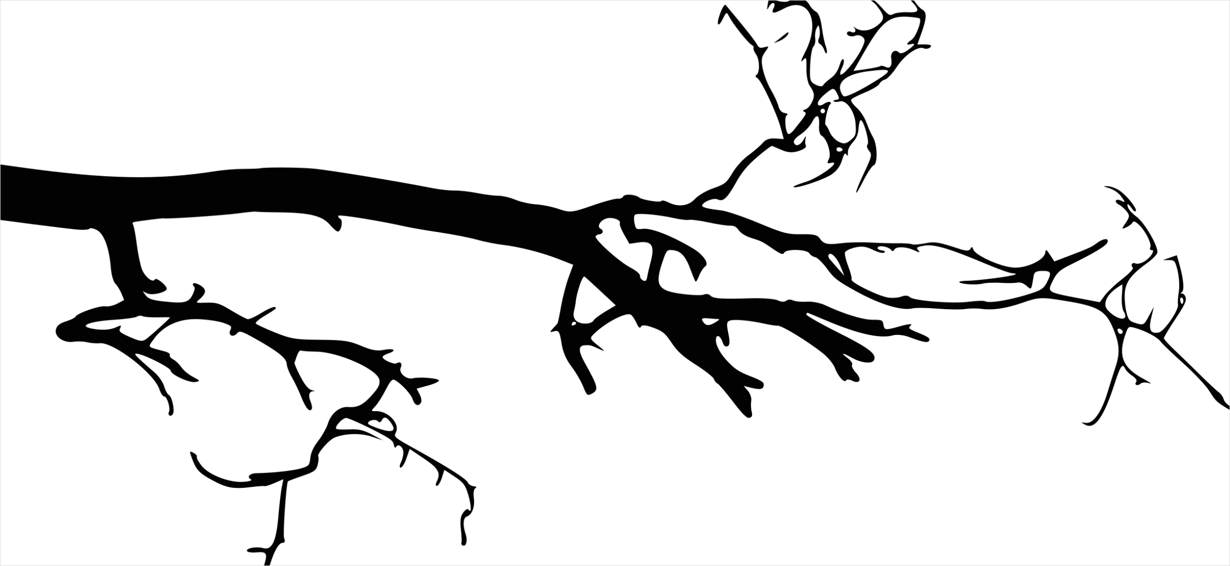 Detail Branch Silhouette Transparent Png Number 10