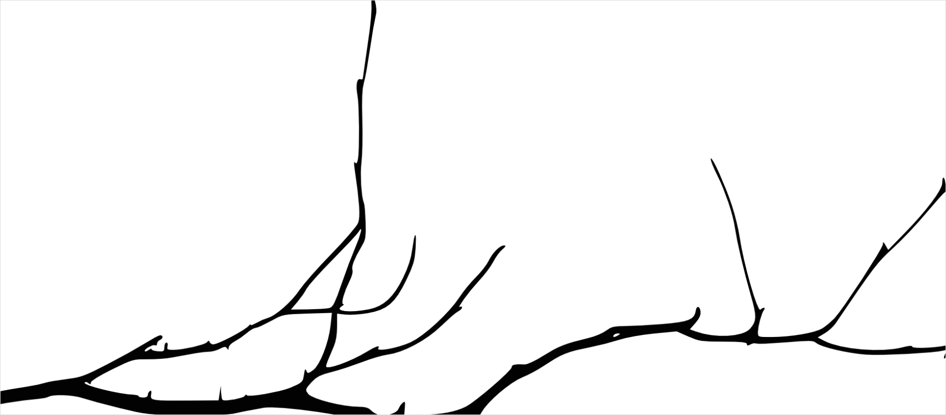 Detail Branch Silhouette Transparent Png Number 12