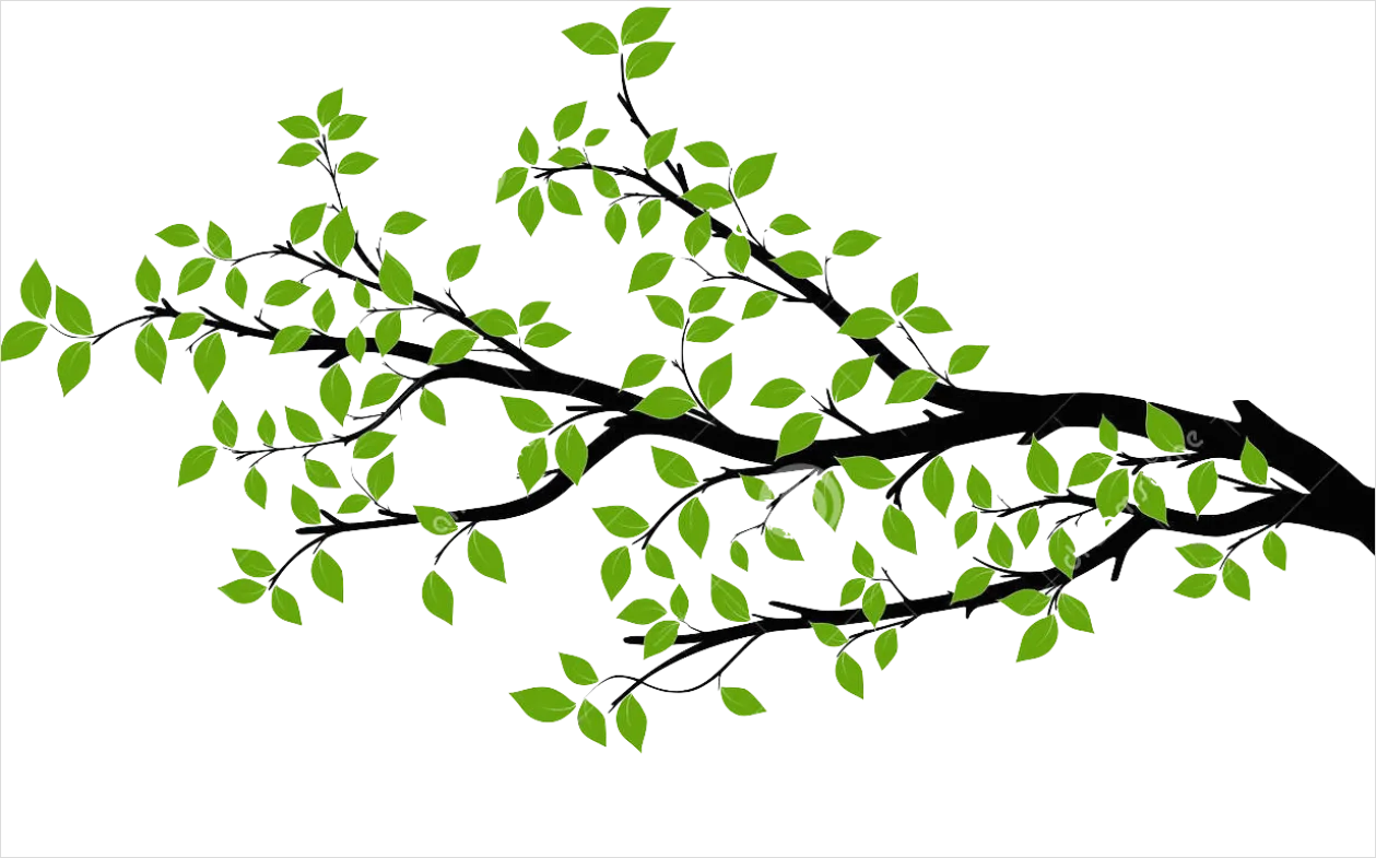 Detail Branch Silhouette Transparent Png Number 13
