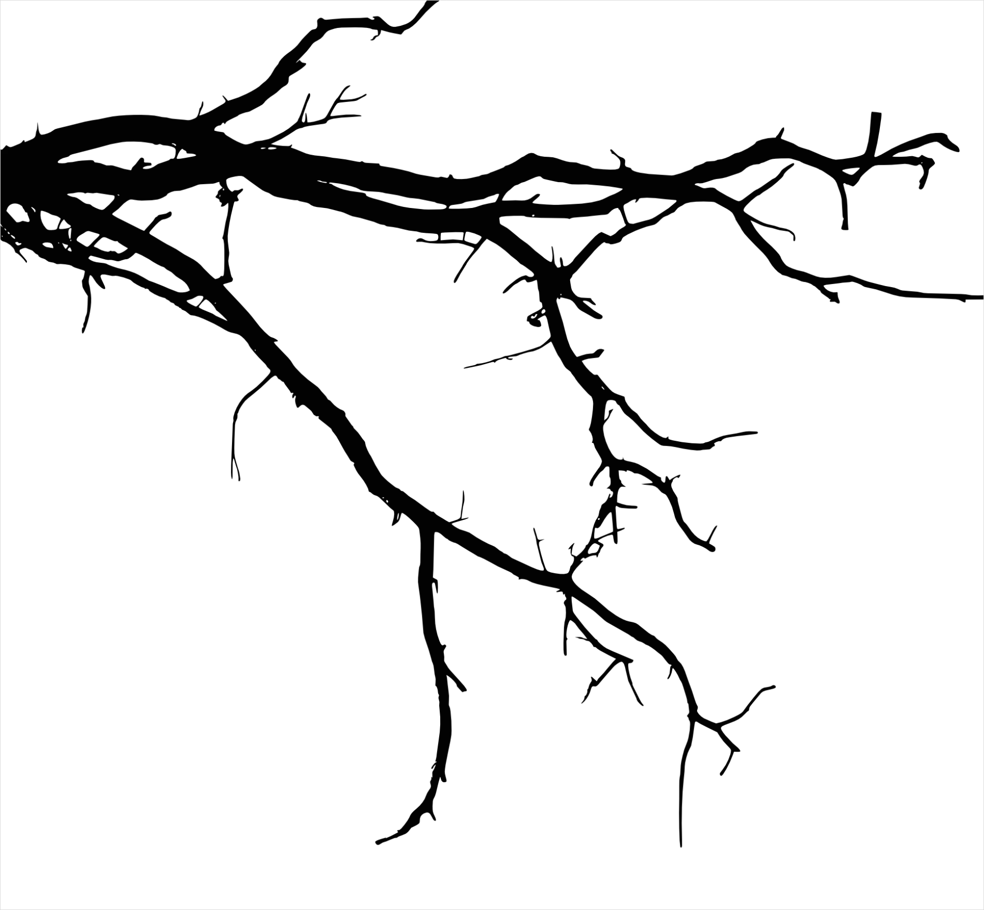Detail Branch Silhouette Transparent Png Number 2