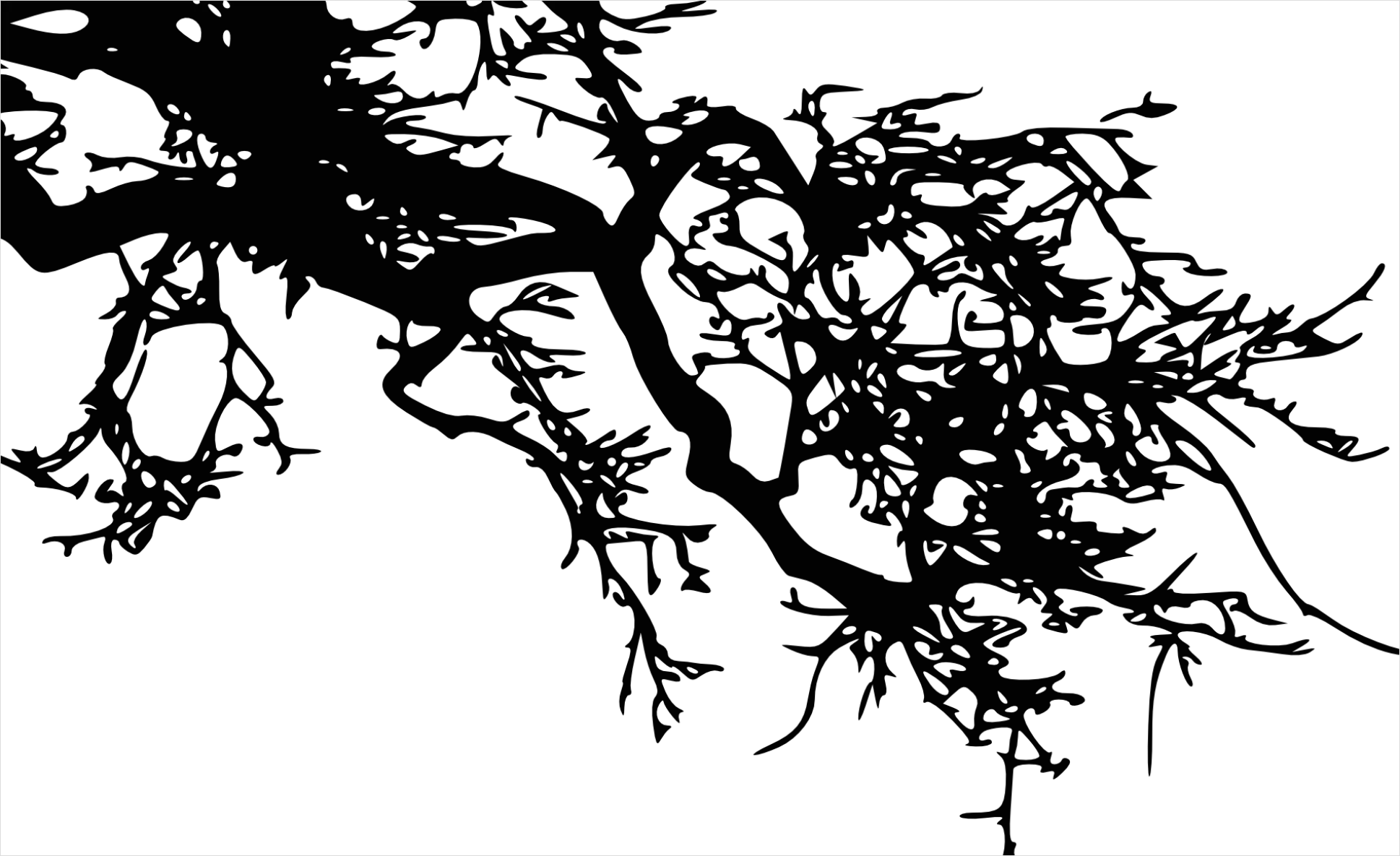 Detail Branch Silhouette Transparent Png Number 3