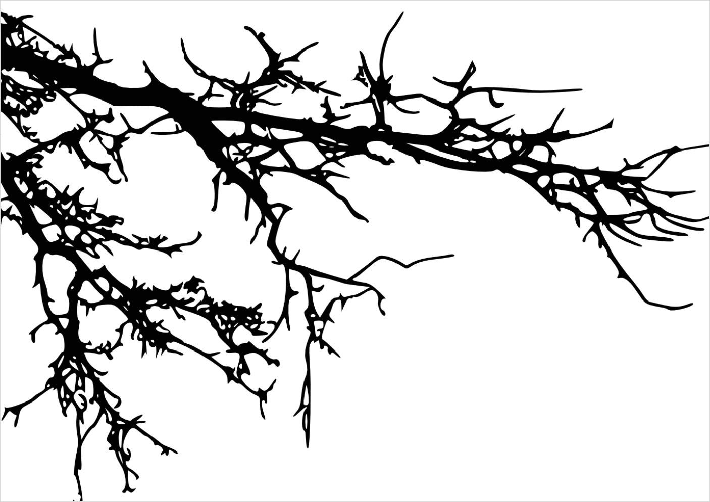 Detail Branch Silhouette Transparent Png Number 4