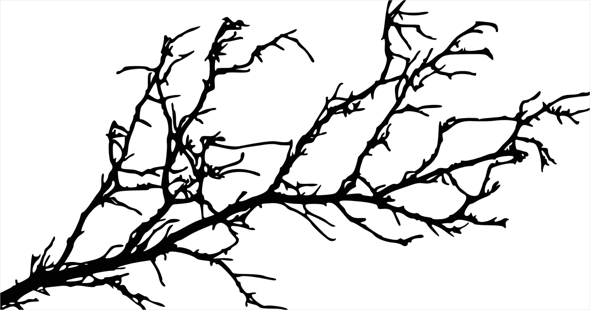 Detail Branch Silhouette Transparent Png Number 5